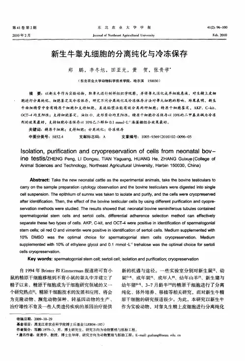 新生牛睾丸细胞的分离纯化与冷冻保存