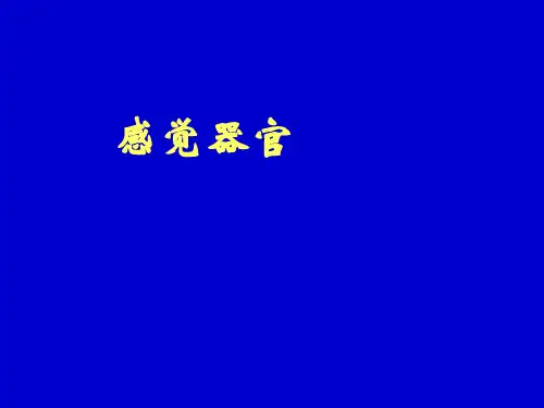 生理学--感觉器官