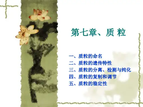 第七章、质粒