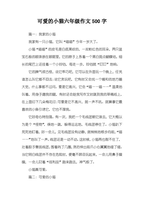 可爱的小猫六年级作文500字