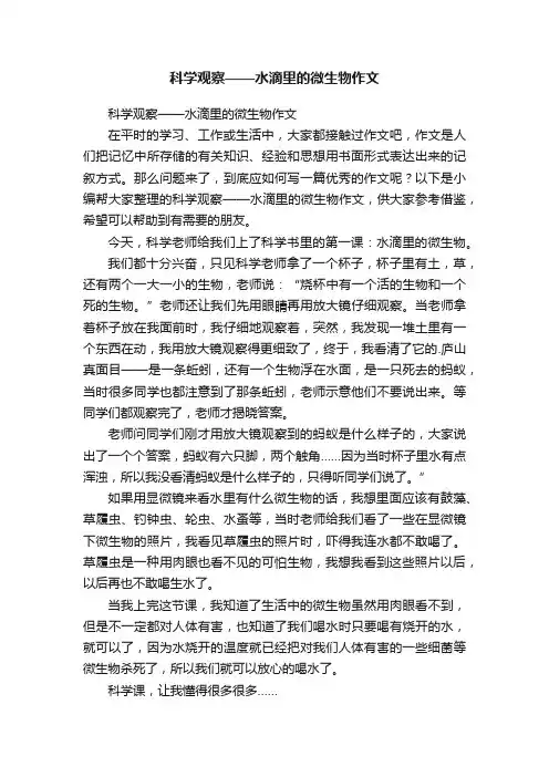 科学观察——水滴里的微生物作文