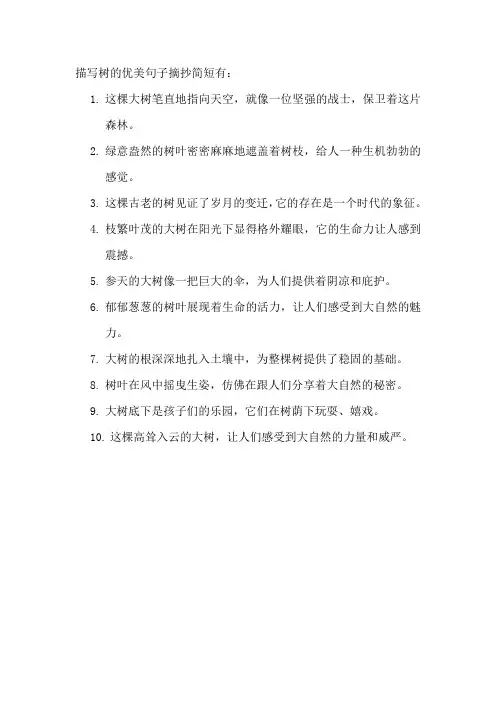 描写树的优美句子摘抄简短