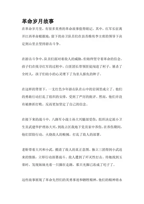 革命岁月故事