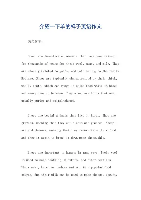 介绍一下羊的样子英语作文