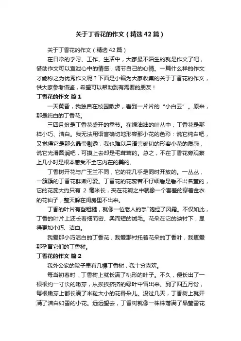 关于丁香花的作文（精选42篇）