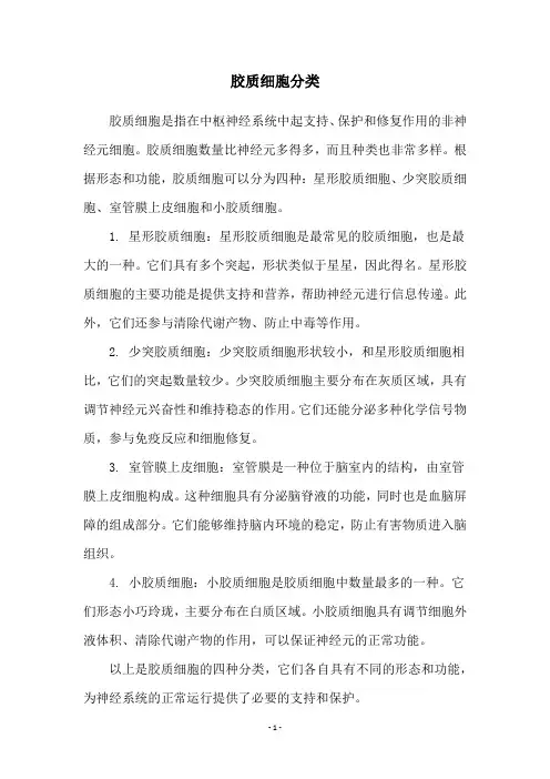 胶质细胞分类
