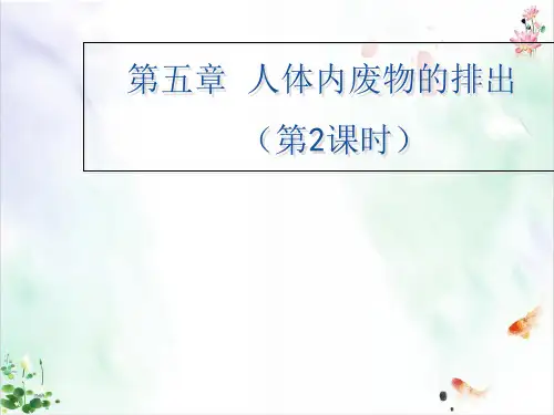 《人体内废物的排出》ppt经典课件