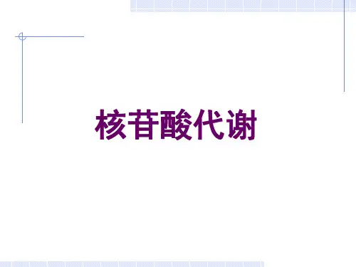 9.核苷酸代谢
