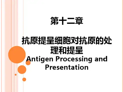 第十二章 抗原提呈细胞对抗原的处理及提呈_