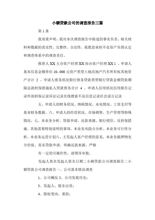 小额贷款公司的调查报告三篇.doc