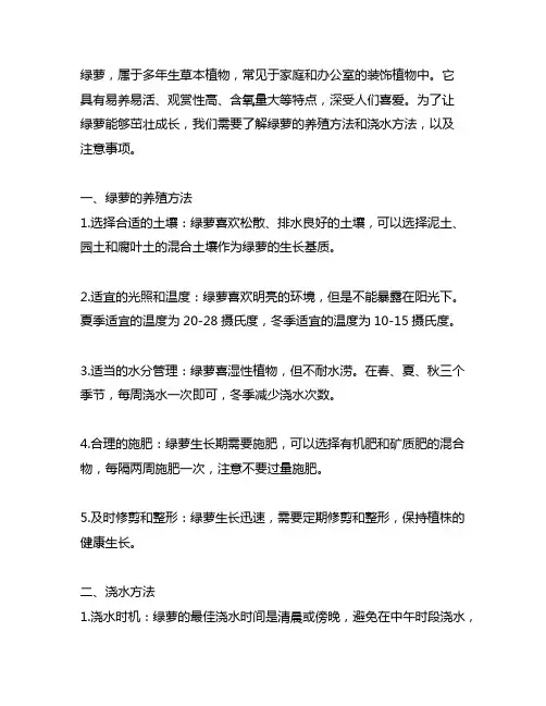绿萝的养殖方法和浇方法水及注意事项