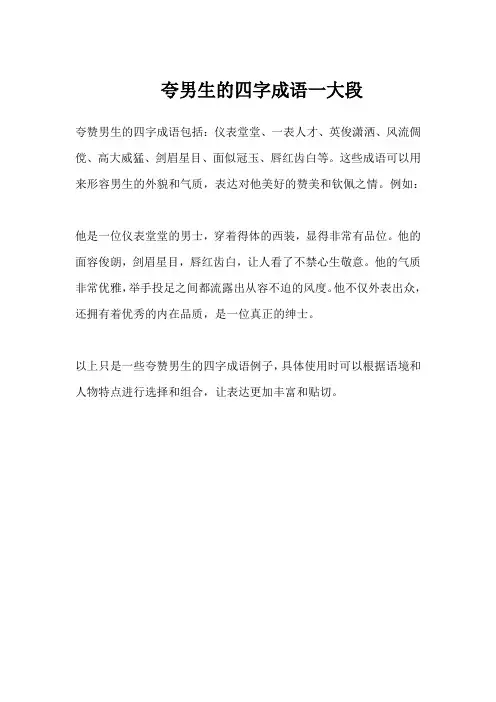 夸男生的四字成语一大段