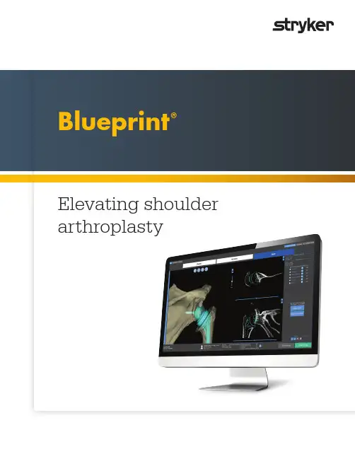 Blueprint 肩部联合计划软件说明书