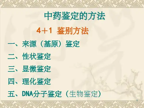 中药的性状鉴定PPT课件