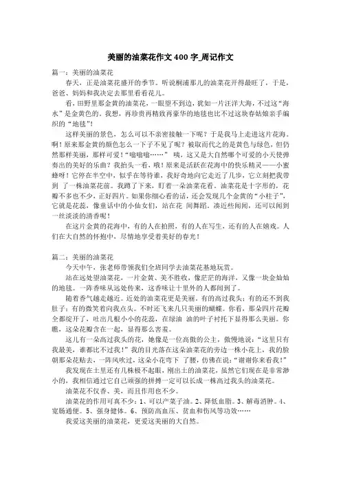 美丽的油菜花作文400字_周记作文