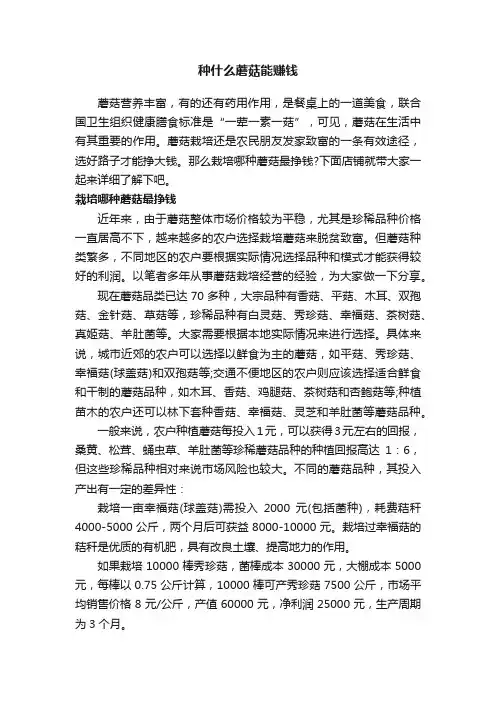 种什么蘑菇能赚钱