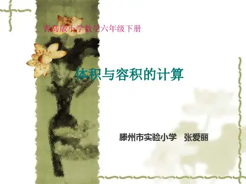 第3课时  体积与容积的计算