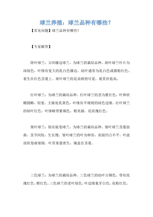球兰养殖：球兰品种有哪些？