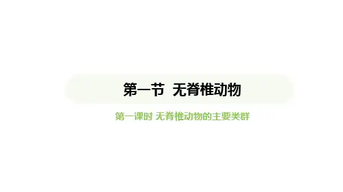 2.2.1无脊椎动物课件-人教版七年级生物上册 (18)