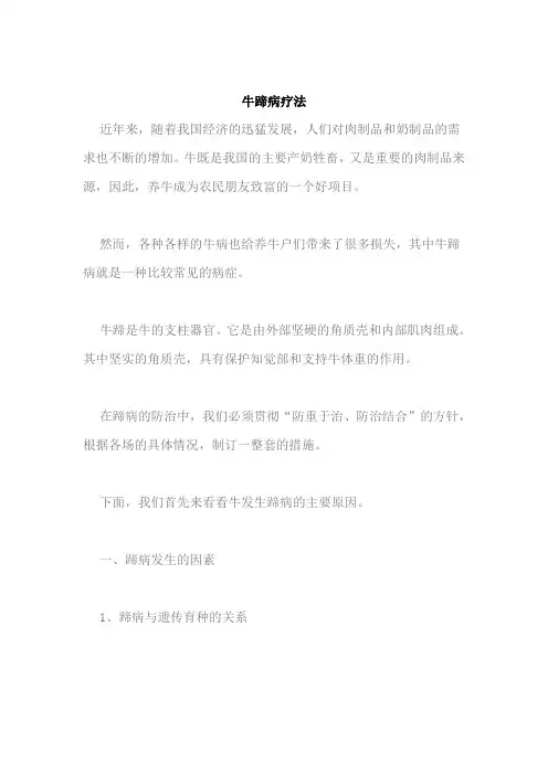牛蹄病疗法
