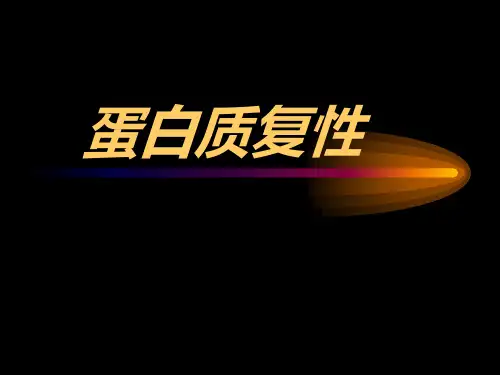 蛋白质复性-王蔚