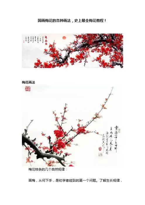 国画梅花的各种画法，史上最全梅花教程！