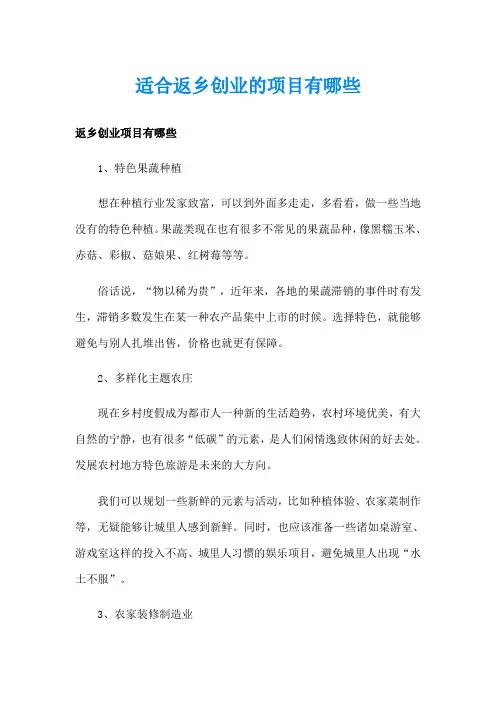 适合返乡创业的项目有哪些