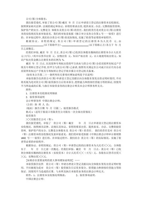 验资报告范本