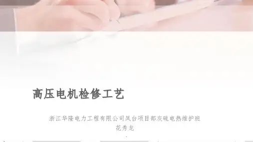 高压电机检修工艺ppt课件