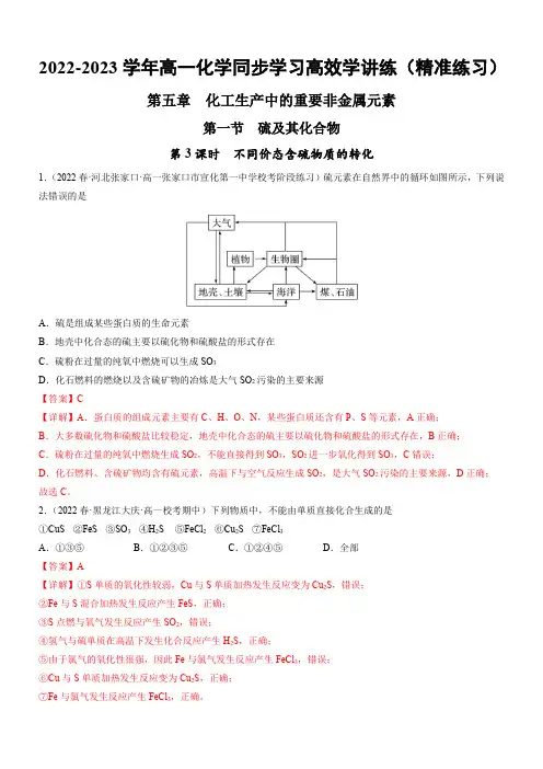 5-1-3 不同价态含硫物质的转化(精准练习)(解析版)