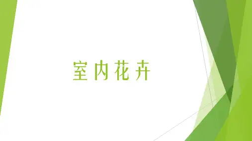 室内花卉ppt