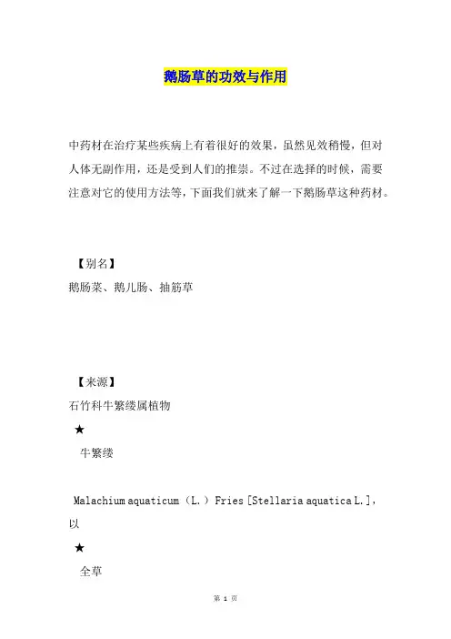 鹅肠草的功效与作用
