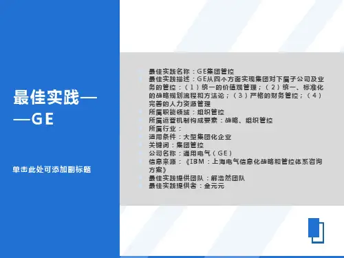 最佳实践-GE集团管控分析