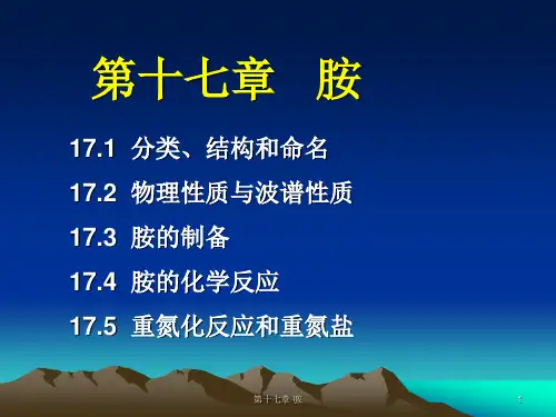 17章-胺-1