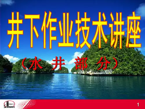005井下作业技术(水井)课件