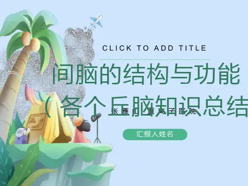间脑的结构与功能(各个丘脑知识总结)