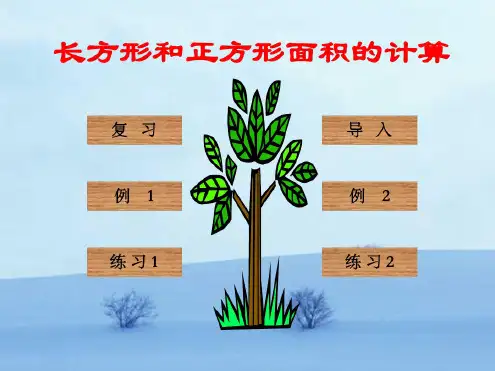三年级数学摆一摆