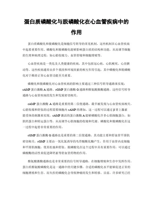 蛋白质磷酸化与脱磷酸化在心血管疾病中的作用