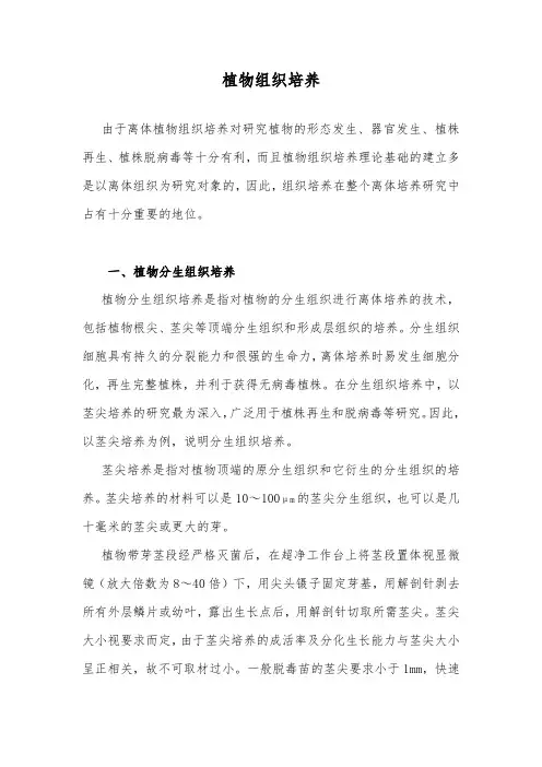 植物组织培养