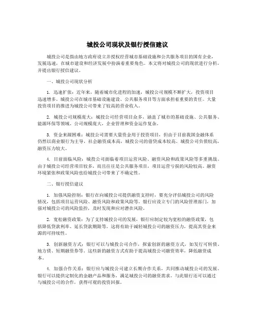 城投公司现状及银行授信建议