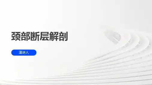 颈部断层解剖