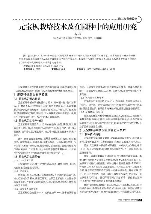 元宝枫栽培技术及在园林中的应用研究
