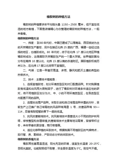 橡胶树的种植方法