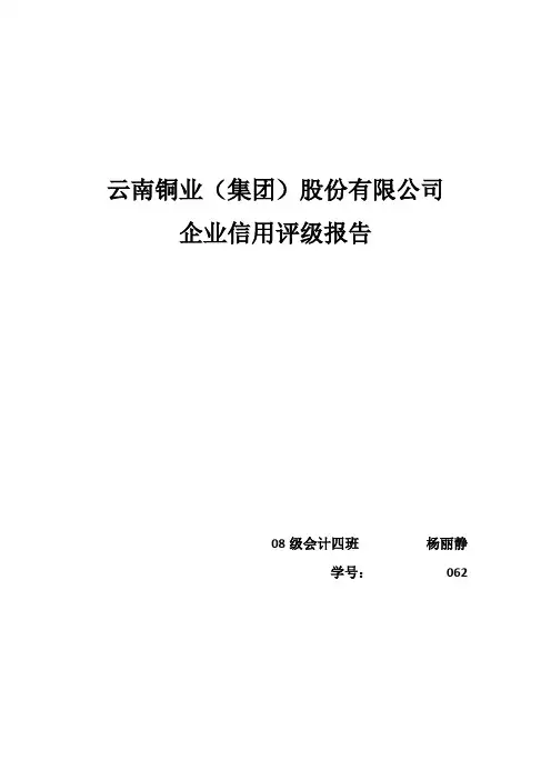 云南铜业(集团)股份有限公司企业信用评级报告