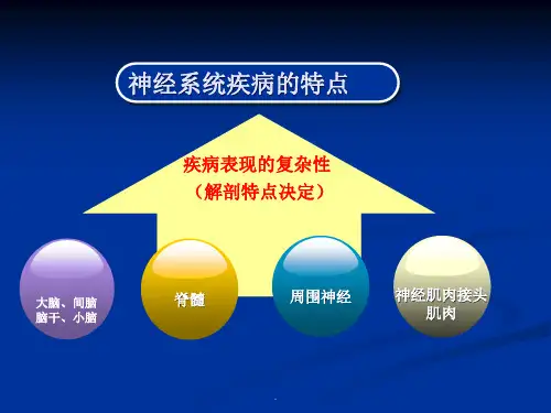 CNS定位教学课件