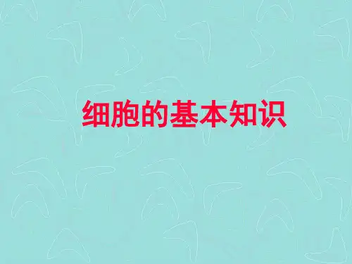 细胞的基本知识