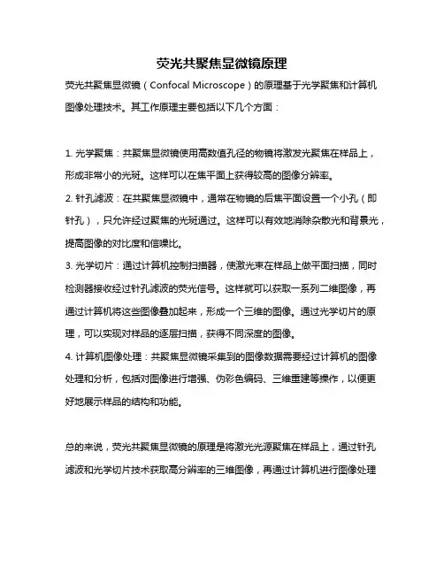 荧光共聚焦显微镜原理