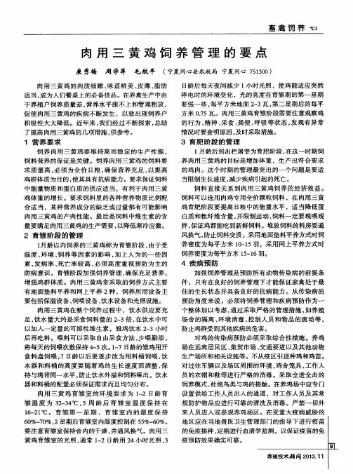 肉用三黄鸡饲养管理的要点