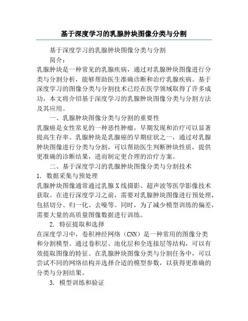 基于深度学习的乳腺肿块图像分类与分割