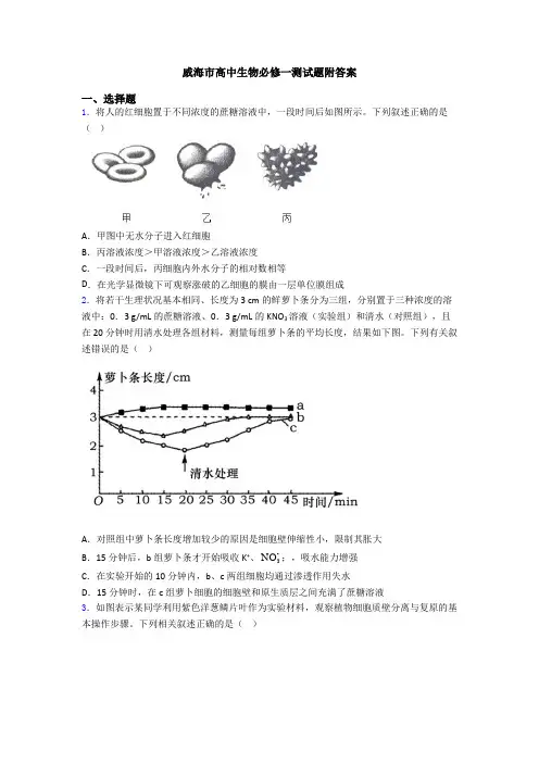 威海市高中生物必修一测试题附答案